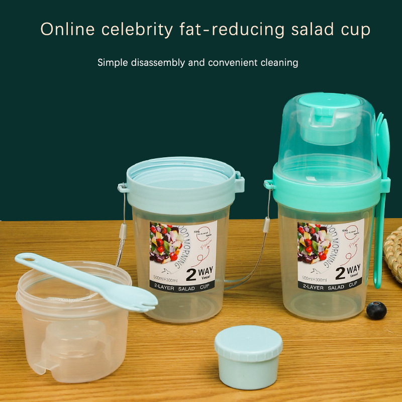 Breakfast Fruit Oat Yogurt Sal – Bento Box Two Tier recenzja i cena